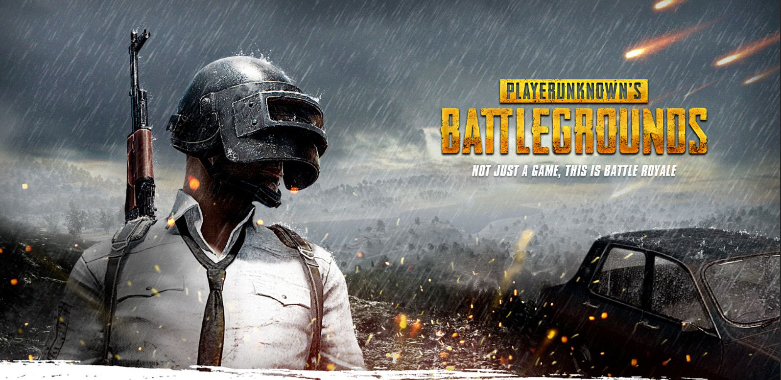 森林狼的内 森林狼的内