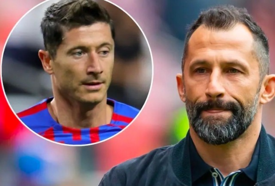 法国国内媒 法国国内媒