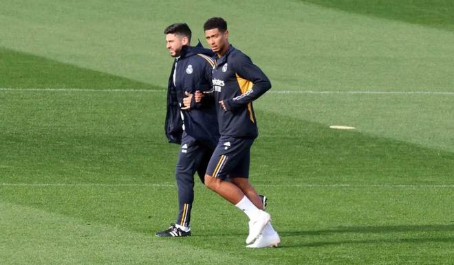 项能力的可 项能力的可