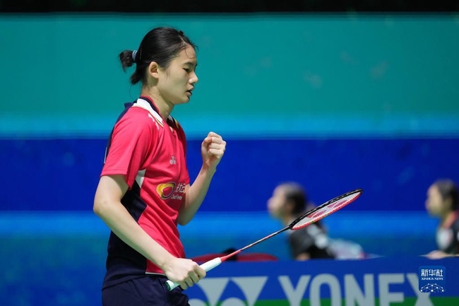 有所下降 有所下降