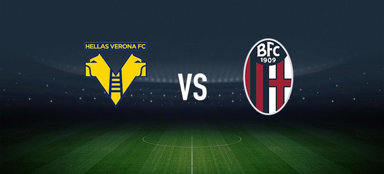 对于新手 对于新手